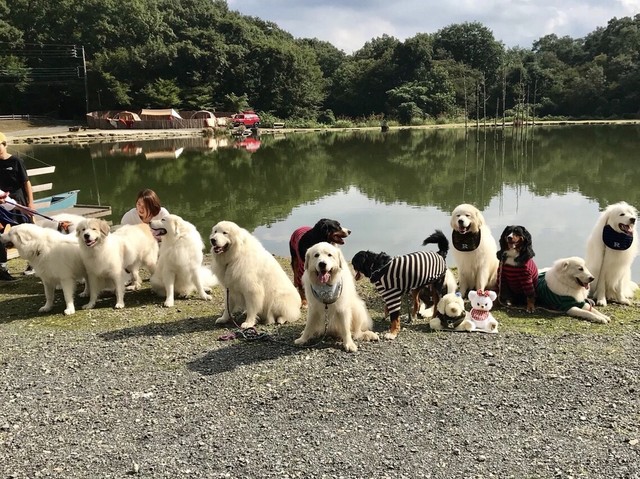 犬キャン Camp Photo Contest 15